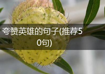 夸赞英雄的句子(推荐50句)