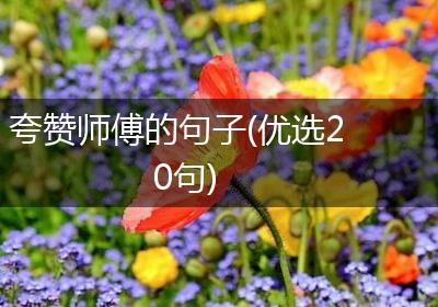夸赞师傅的句子(优选20句)