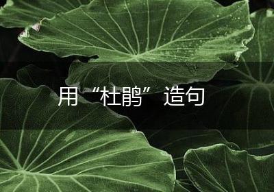 用“杜鹃”造句