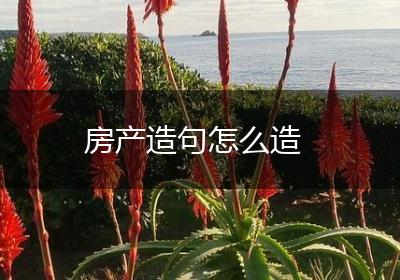 房产造句怎么造