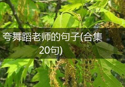夸舞蹈老师的句子(合集20句)