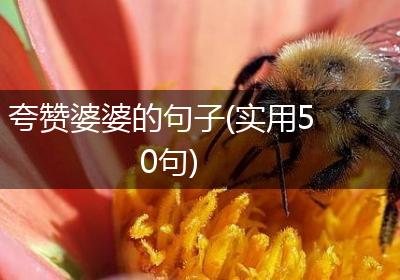 夸赞婆婆的句子(实用50句)