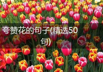 夸赞花的句子(精选50句)