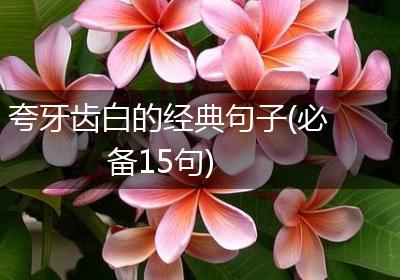 夸牙齿白的经典句子(必备15句)