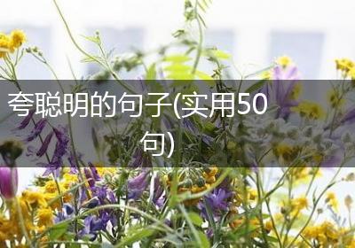 夸聪明的句子(实用50句)