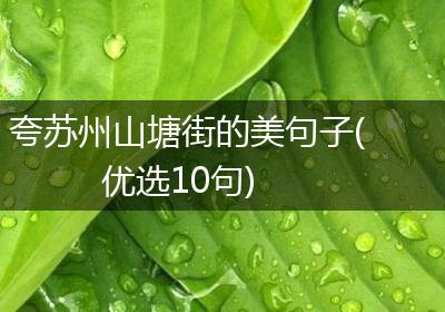 夸苏州山塘街的美句子(优选10句)