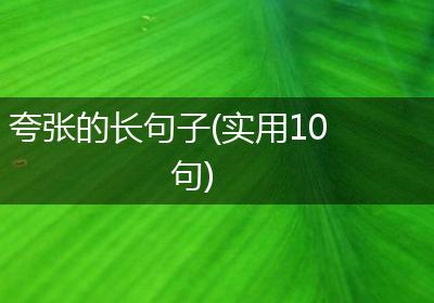 夸张的长句子(实用10句)