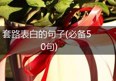 套路表白的句子(必备50句)