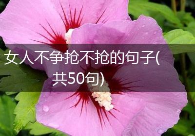 女人不争抢不抢的句子(共50句)