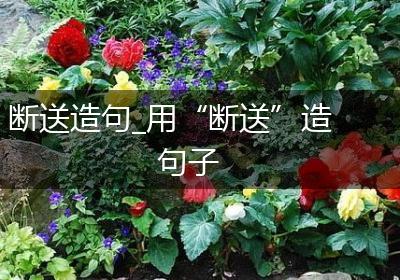 断送造句_用“断送”造句子