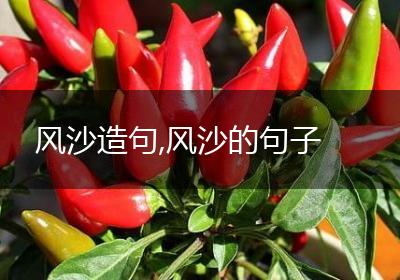 风沙造句,风沙的句子