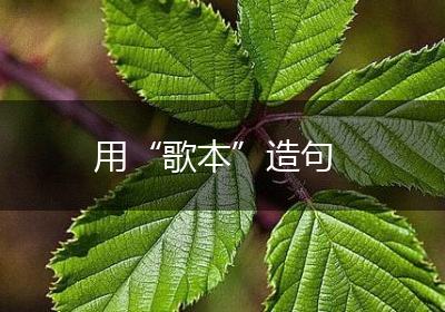 用“歌本”造句