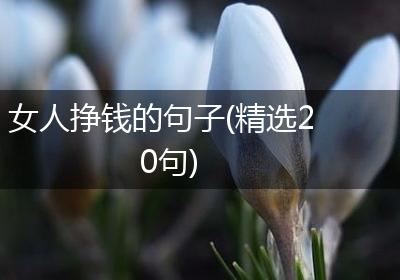 女人挣钱的句子(精选20句)