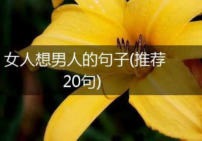 女人想男人的句子(推荐20句)