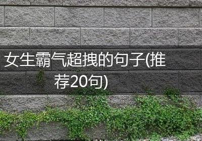 女生霸气超拽的句子(推荐20句)