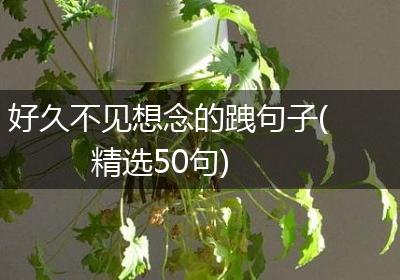 好久不见想念的跩句子(精选50句)