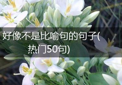好像不是比喻句的句子(热门50句)