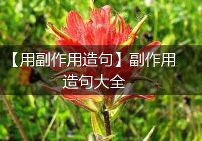 【用副作用造句】副作用造句大全