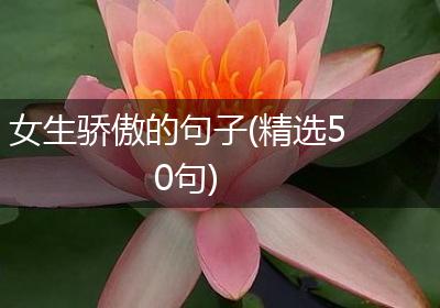 女生骄傲的句子(精选50句)