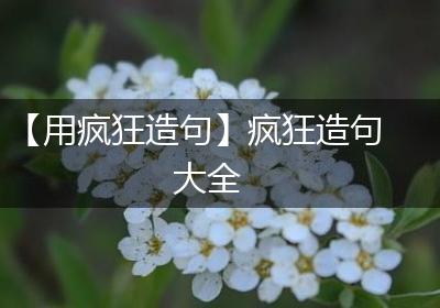 【用疯狂造句】疯狂造句大全