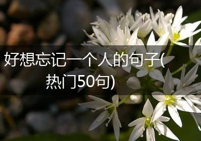 好想忘记一个人的句子(热门50句)