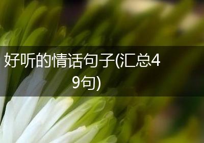 好听的情话句子(汇总49句)