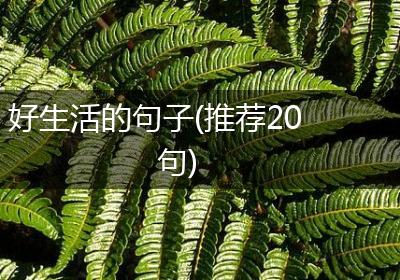 好生活的句子(推荐20句)