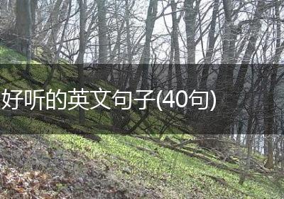好听的英文句子(40句)