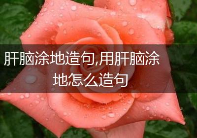 肝脑涂地造句,用肝脑涂地怎么造句
