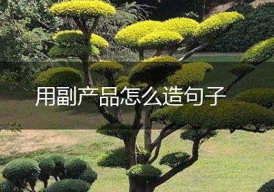 用副产品怎么造句子