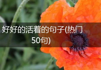 好好的活着的句子(热门50句)