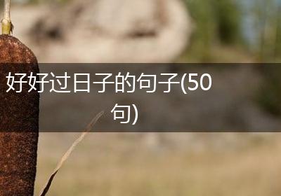 好好过日子的句子(50句)