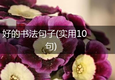 好的书法句子(实用10句)