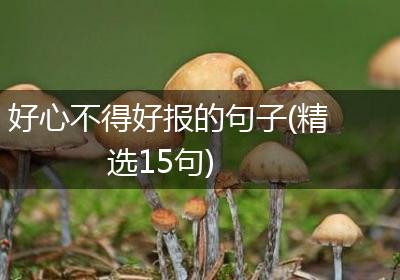 好心不得好报的句子(精选15句)