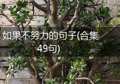 如果不努力的句子(合集49句)