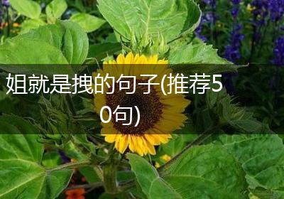 姐就是拽的句子(推荐50句)