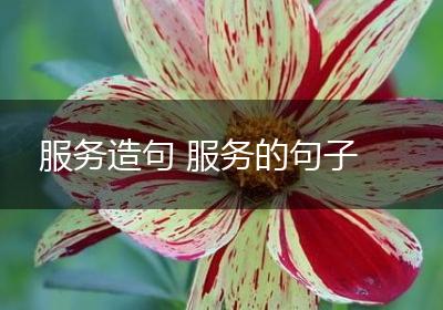 服务造句 服务的句子