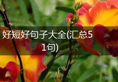 好短好句子大全(汇总51句)