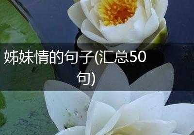 姊妹情的句子(汇总50句)