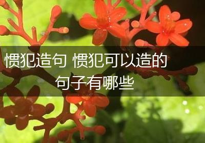 惯犯造句 惯犯可以造的句子有哪些