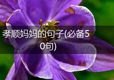 孝顺妈妈的句子(必备50句)