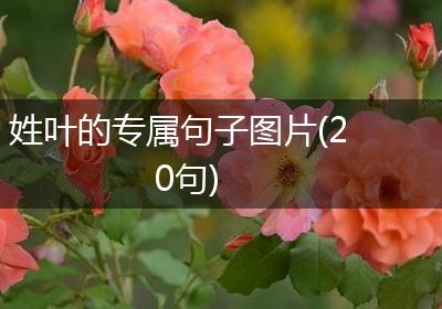 姓叶的专属句子图片(20句)