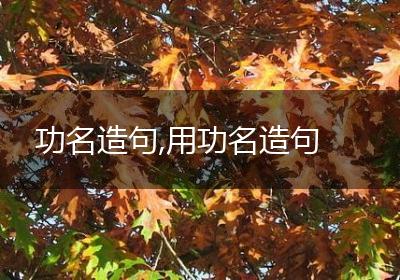 功名造句,用功名造句