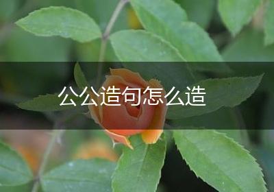 公公造句怎么造