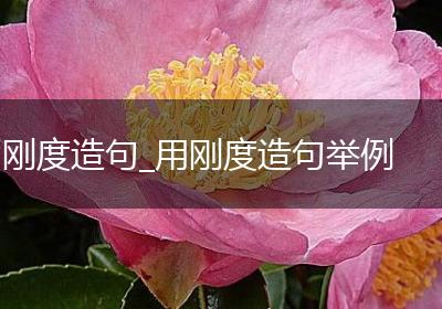 刚度造句_用刚度造句举例