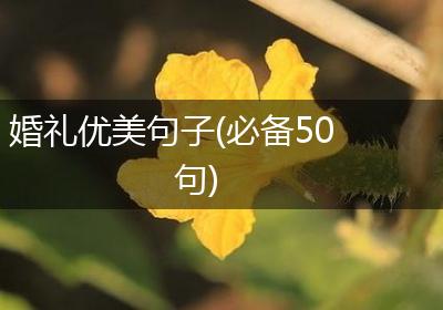婚礼优美句子(必备50句)