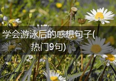 学会游泳后的感想句子(热门9句)