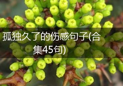孤独久了的伤感句子(合集45句)