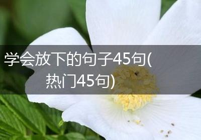 学会放下的句子45句(热门45句)