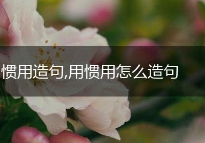 惯用造句,用惯用怎么造句